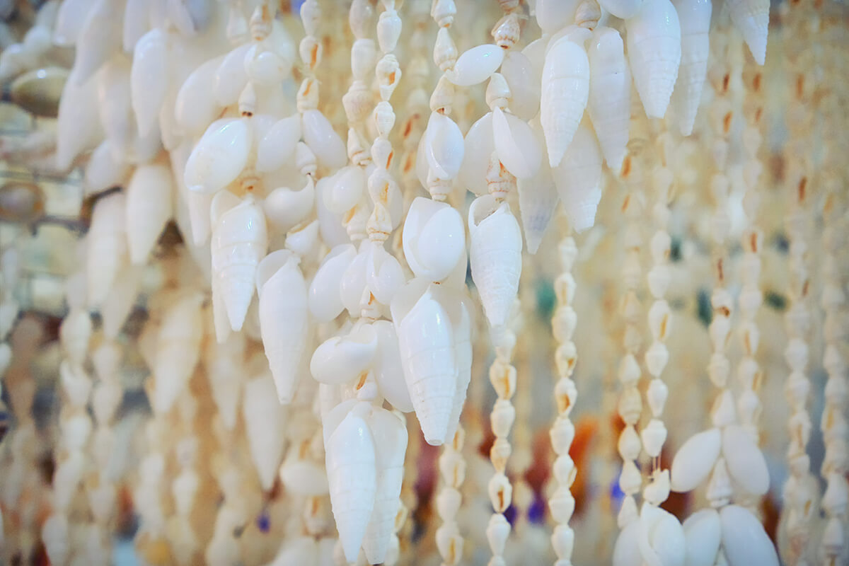 Seashell statement chandelier 
